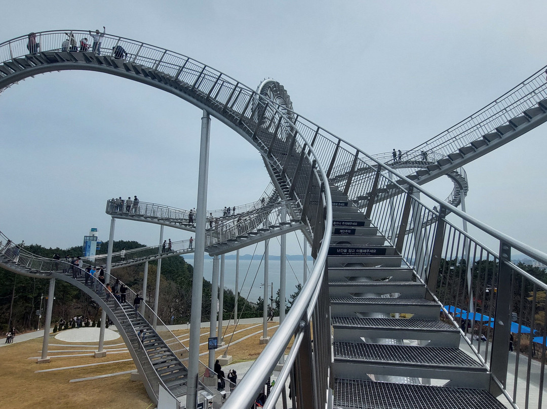 Hwano Park Space Walk-浦项市必去景点