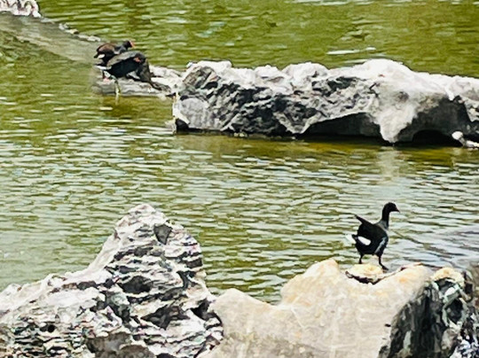 Jardin Botanico Nacional-哈瓦那必去景点