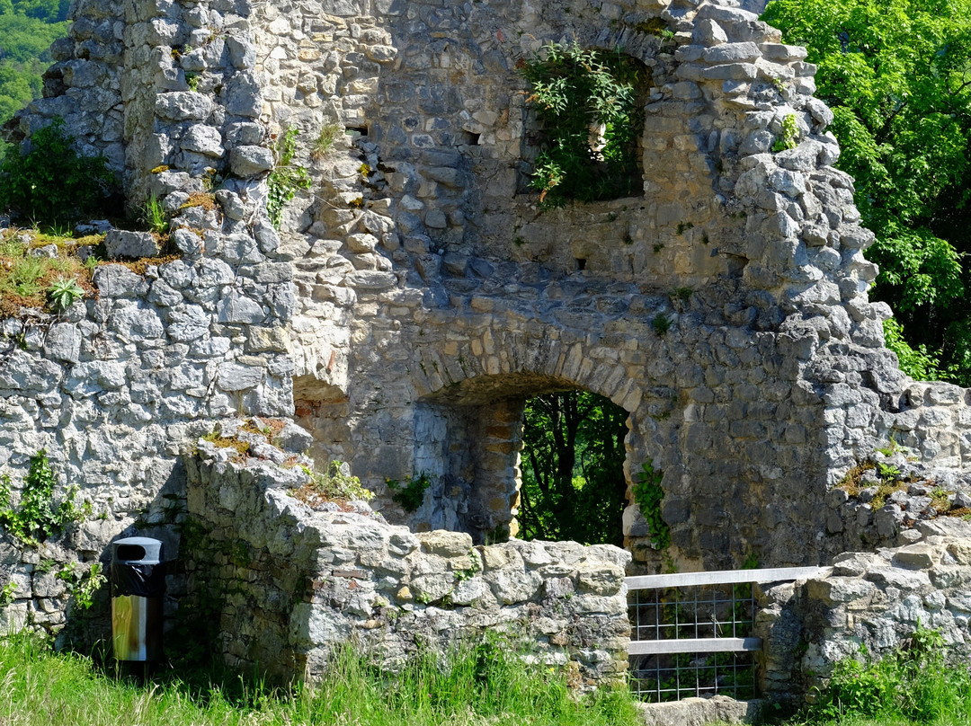 Ruine Dorneck景点图片