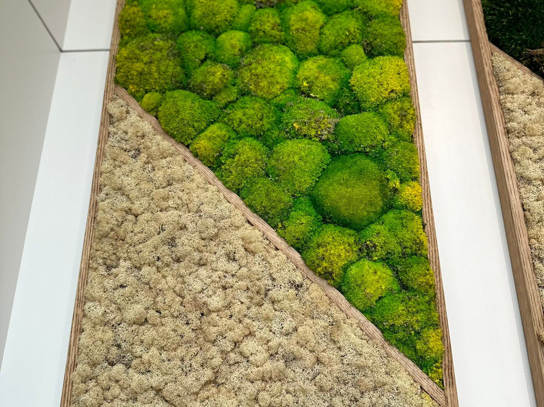 DoubleTree by Hilton Canton Downtown主图