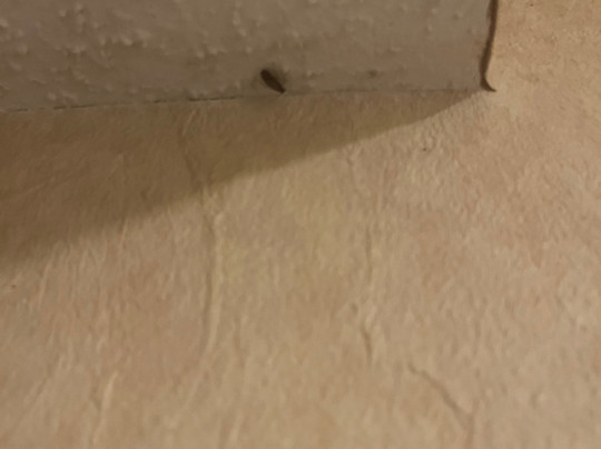 Americas Best Value Inn Tunica Resort主图