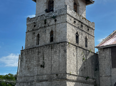 Bohol Island Tour-塔比拉兰必去景点
