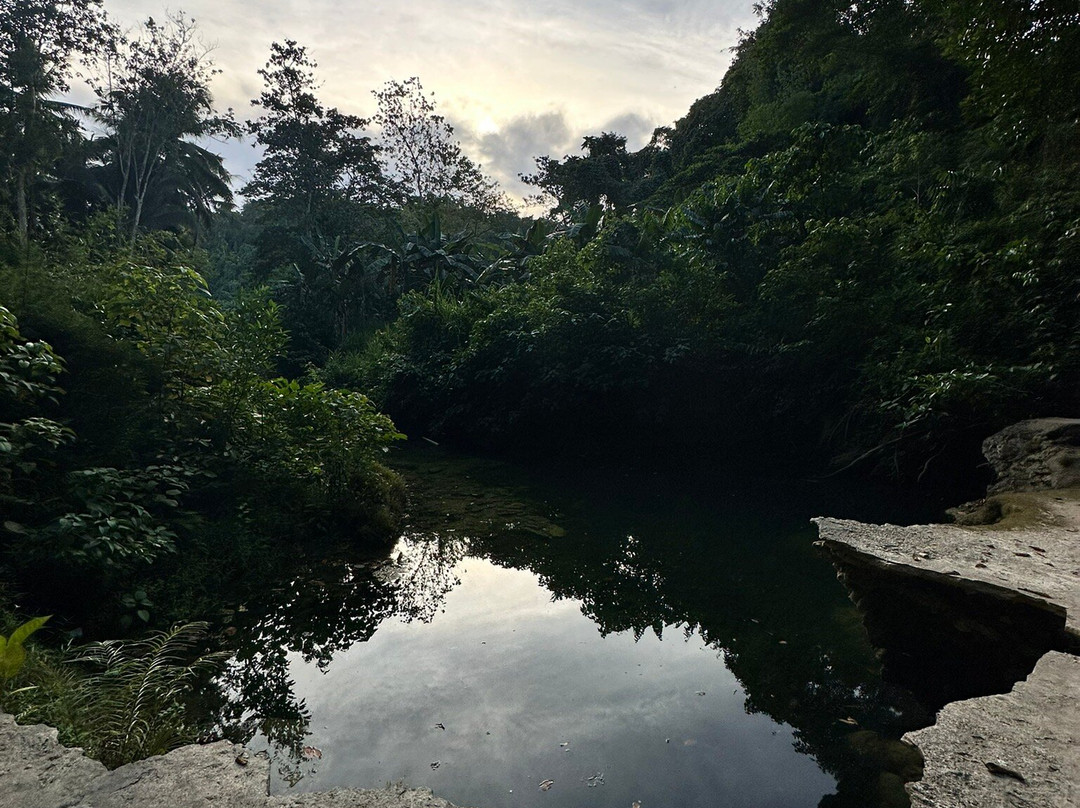 Kawasan Falls Bohol景点图片