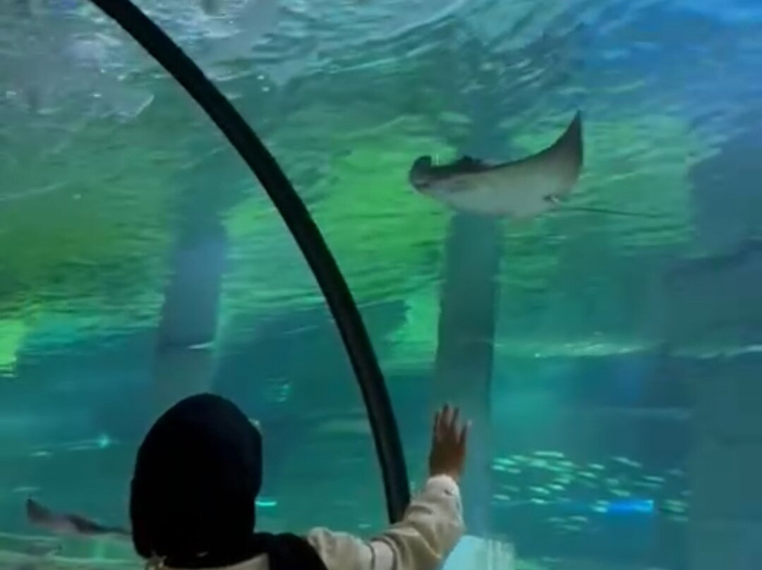 Aqua Vega Aquarium-安卡拉必去景点