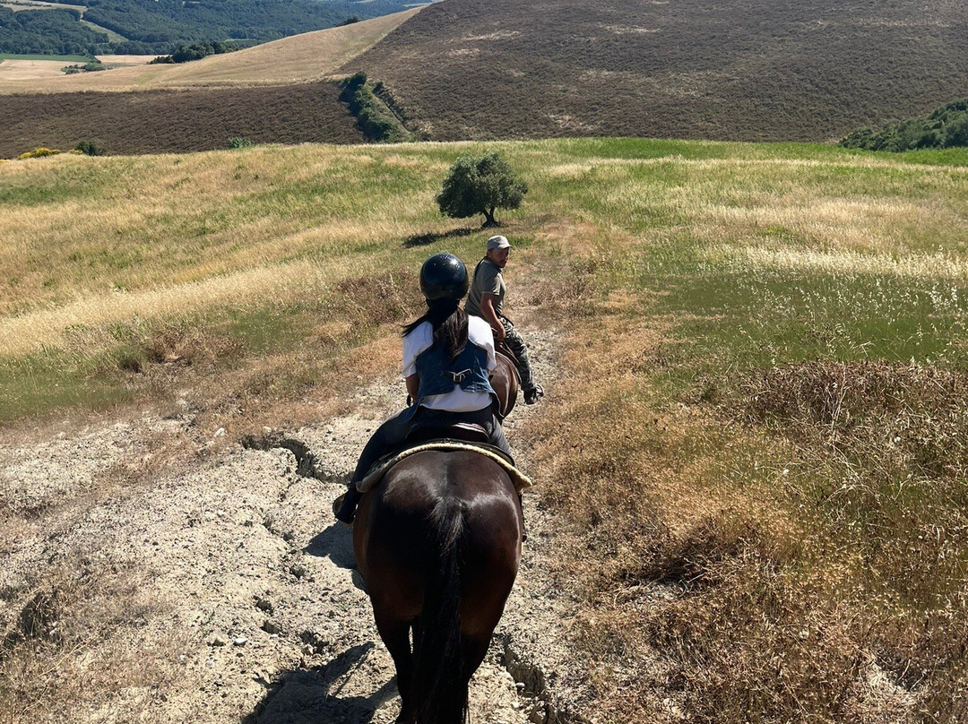 Centro Equestre Samarcanda-沃尔泰拉必去景点