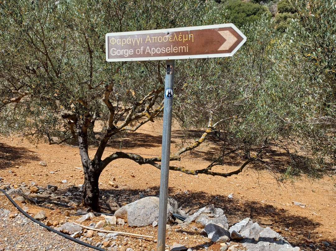 Aposelemis canyon景点图片