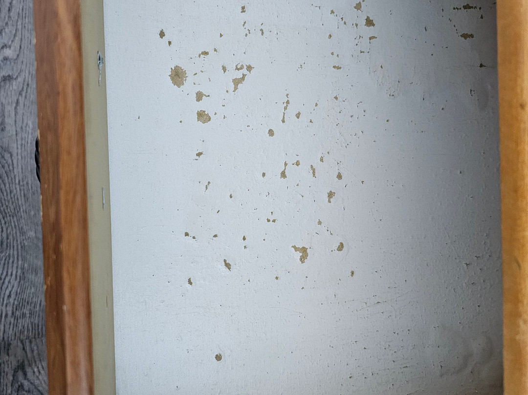 The Palomar Inn主图