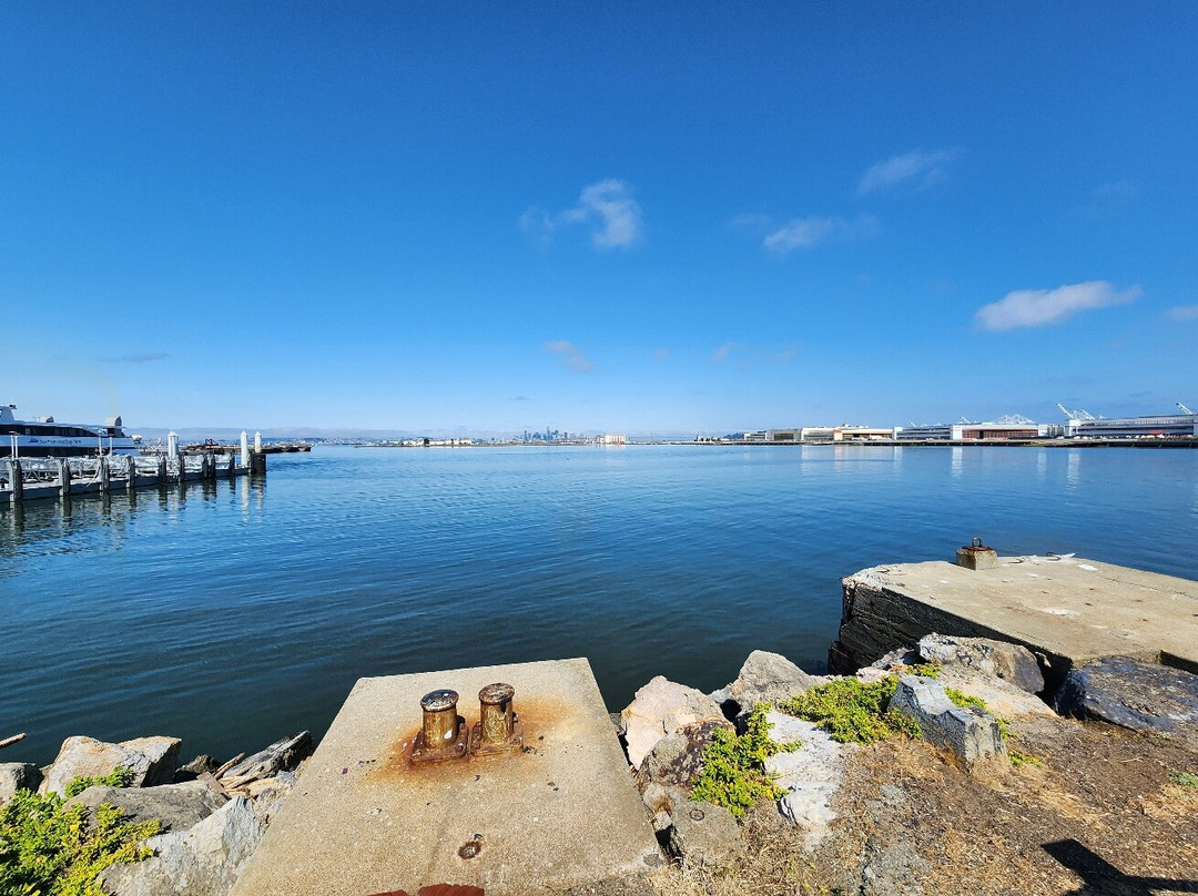San Francisco Bay Ferry景点图片