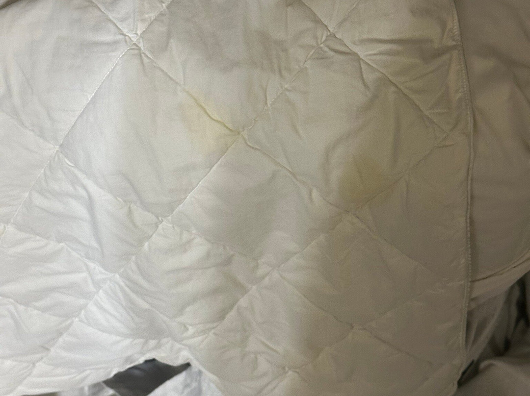 Sleep Inn & Suites Airport主图