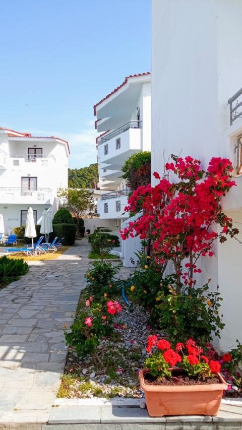 Xenios Dolphin Beach Hotel-浴室
