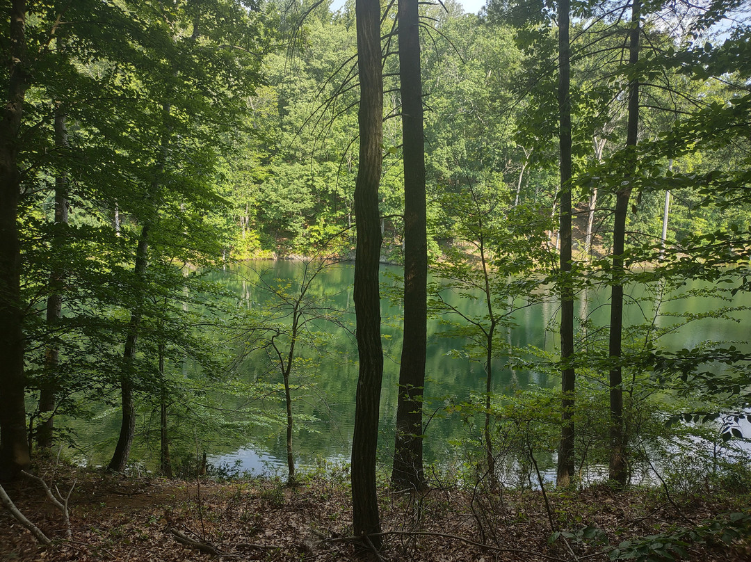Ragged Mountain Natural Area-夏洛茨维尔必去景点