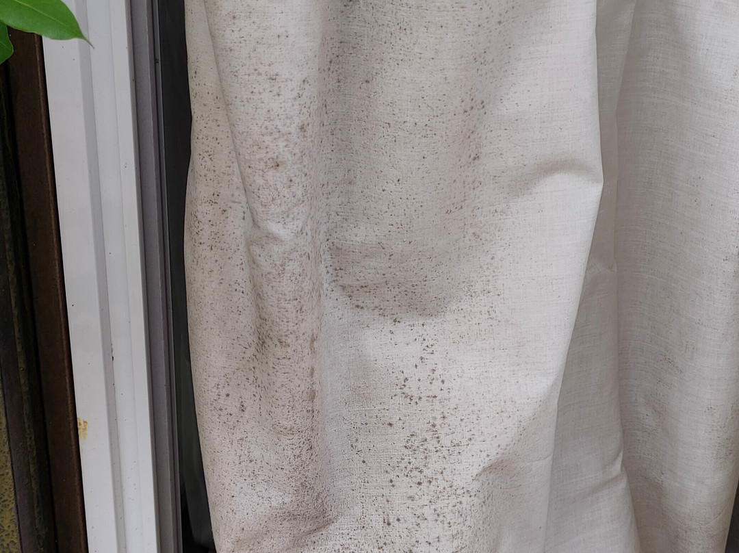 Hotel Boutique Pinar主图