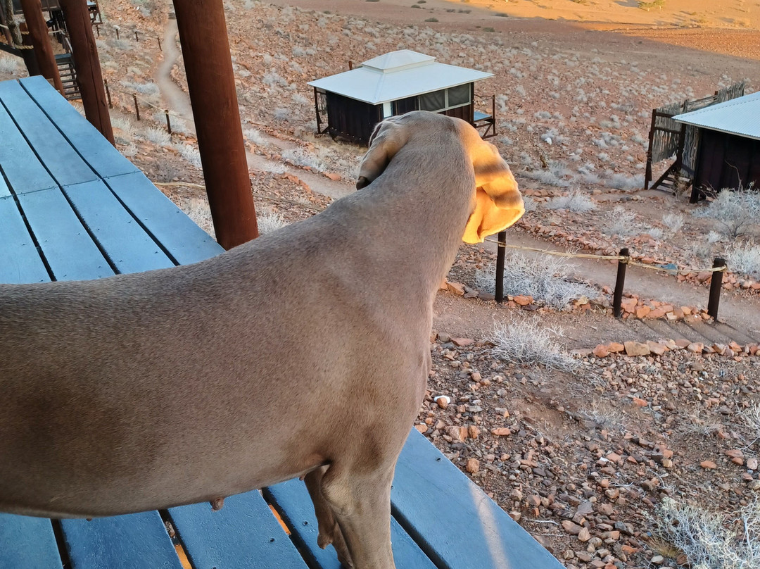 Moon Mountain Lodge