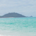 melg_3434