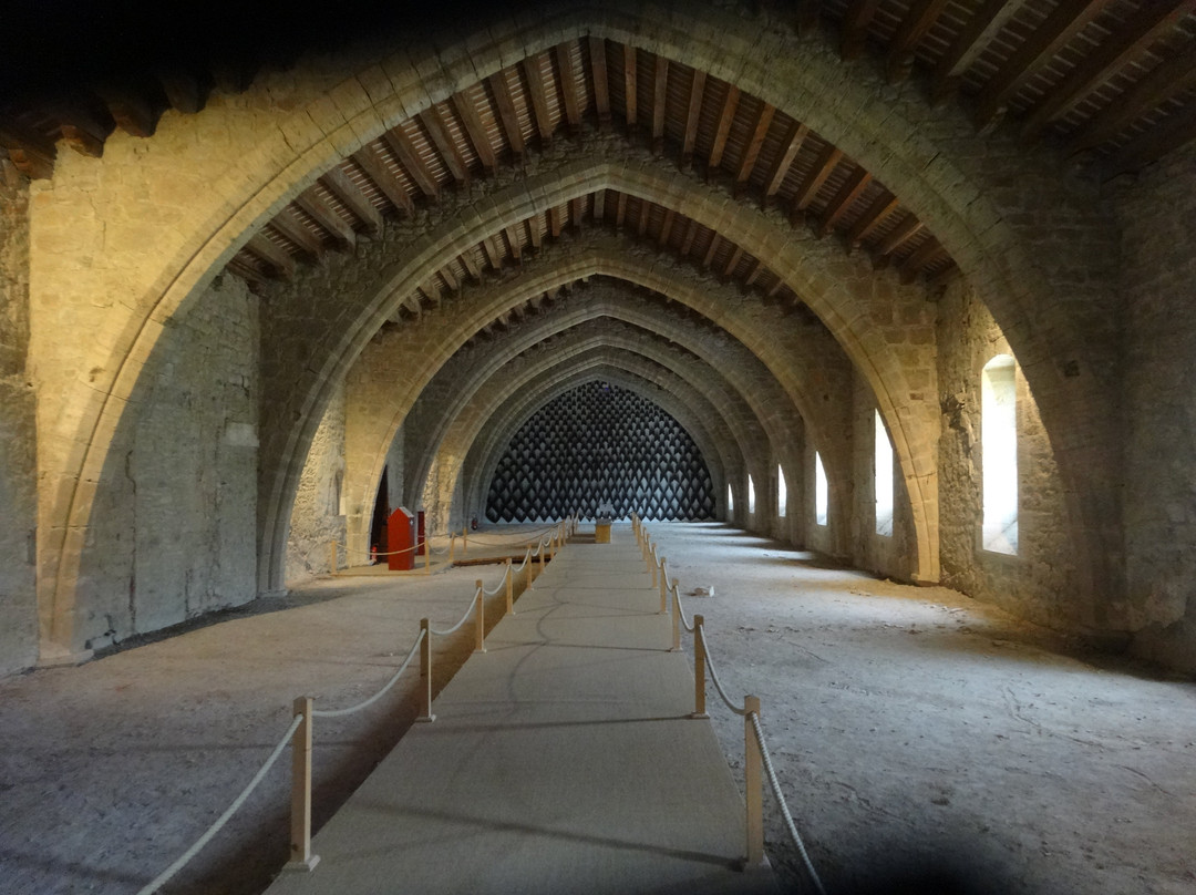 Abbaye Médiévale De Lagrasse, Centre Culturel Les Arts De Lire景点图片