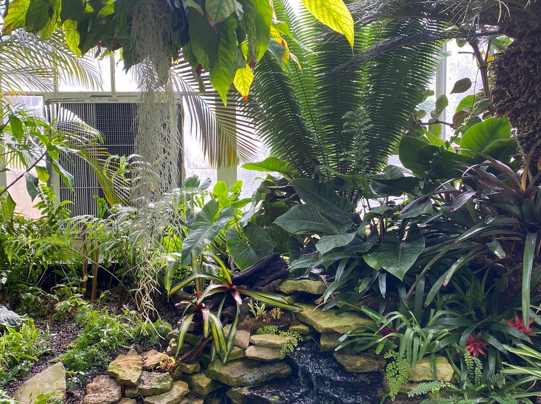Garfield Park Conservatory & Sunken Garden-印第安纳波利斯必去景点