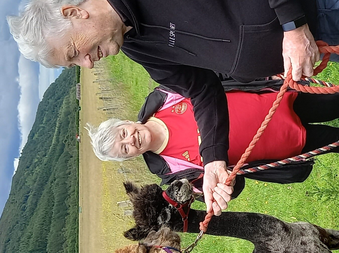 Invercannich Farm景点图片