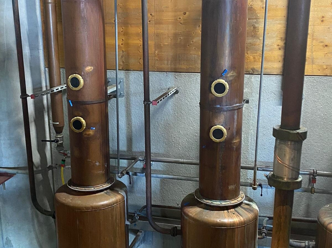 Nonino Distillatori景点图片
