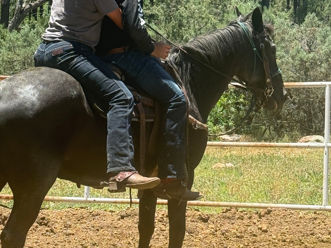 Kohl's Ranch Stables-Payson必去景点