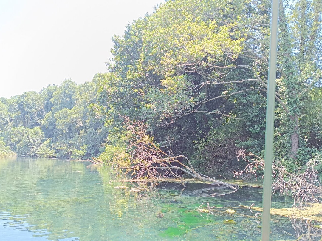 National Park Galicica景点图片