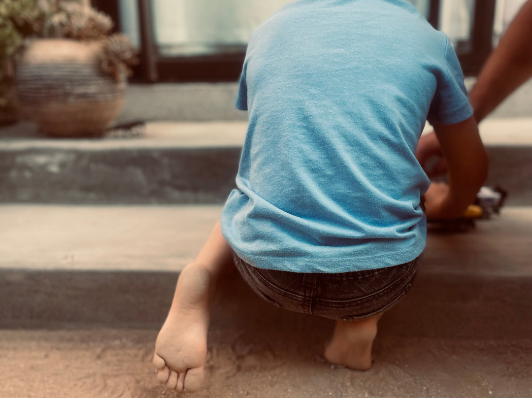 The Desert House主图