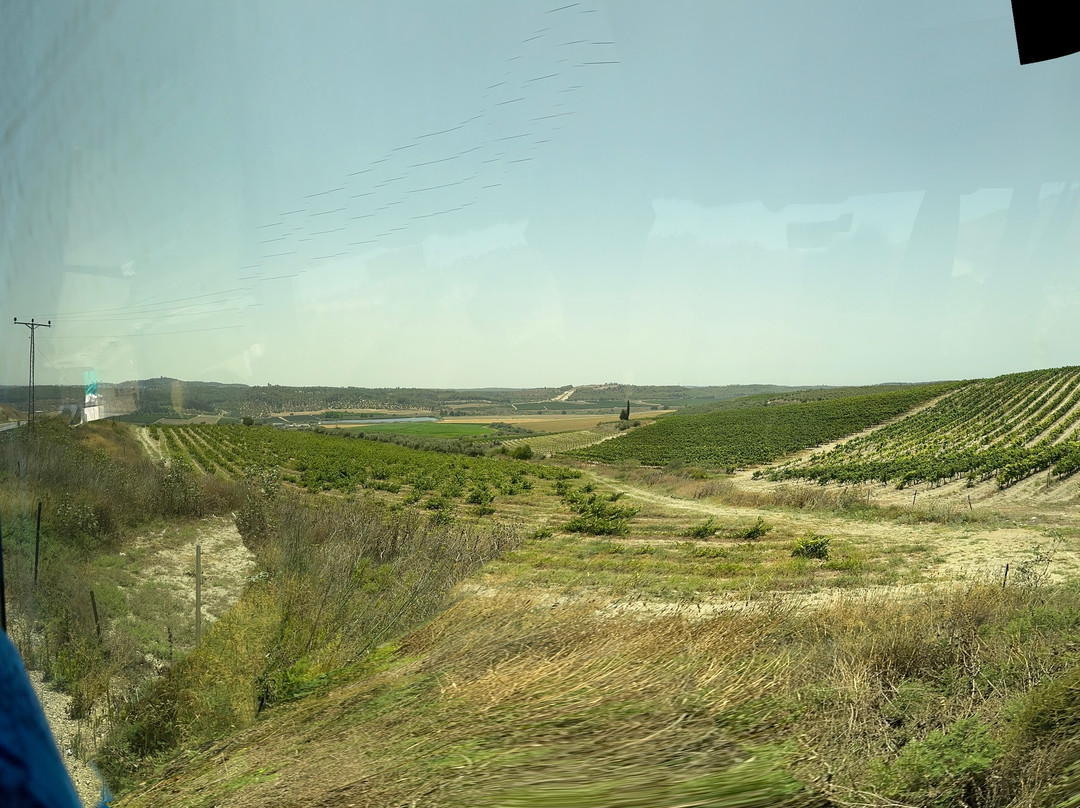 Shimon Edrey Tours in Israel-Lod必去景点