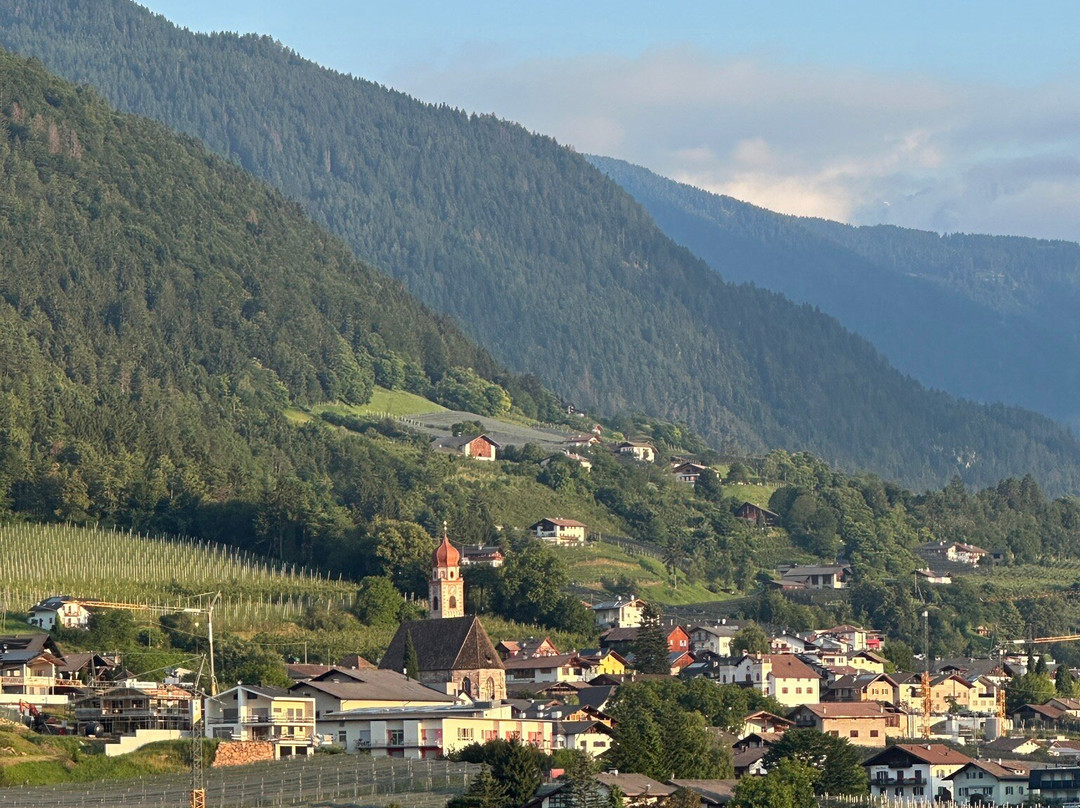 Pension Felsenegg主图