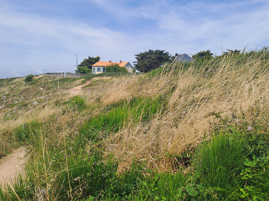 Pointe du Grand Mont-Saint-Gildas-de-Rhuys必去景点