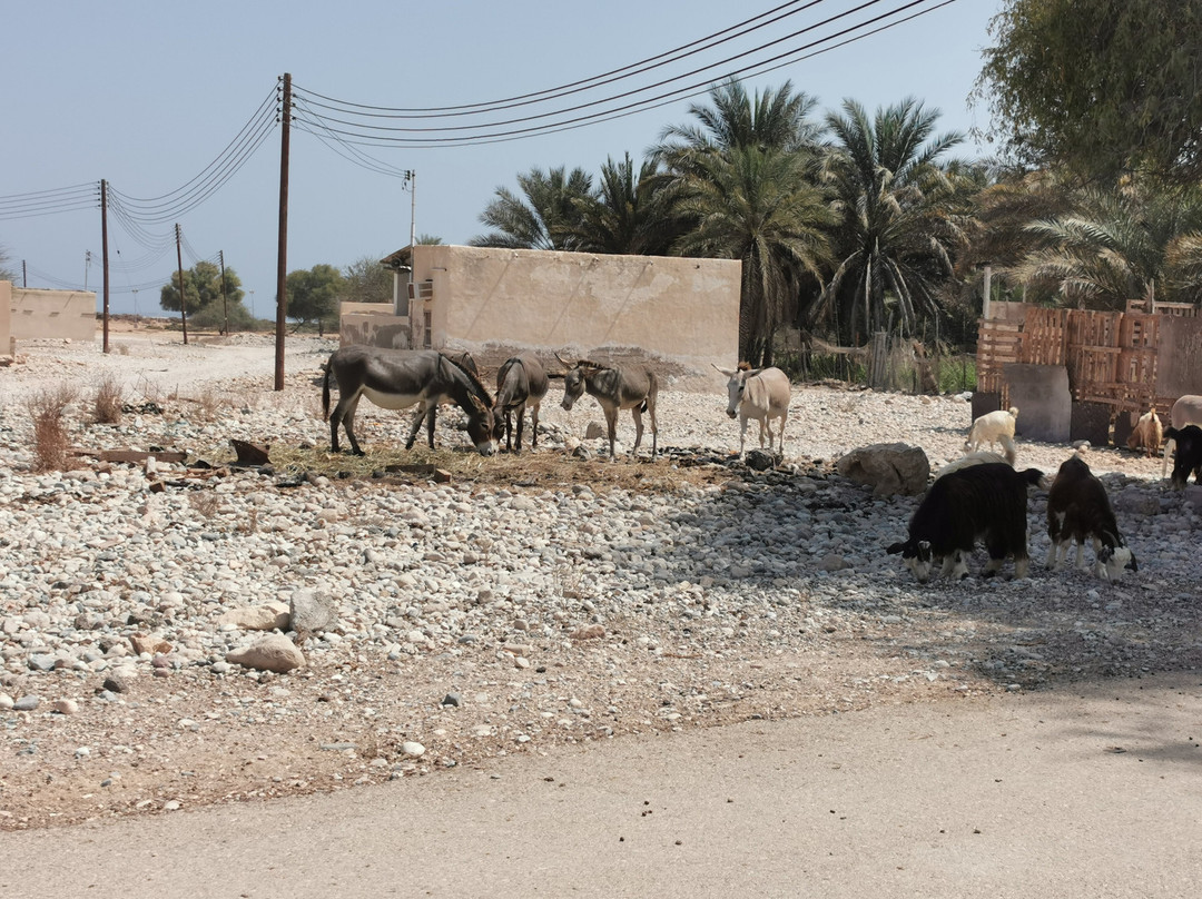 City Centre Qurum-马斯喀特必去景点