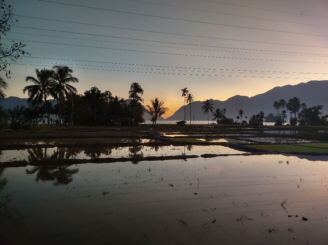 Arlen Nova's Paradise Guesthouse主图