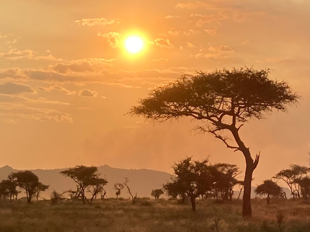 Sopai Safaris-阿鲁沙必去景点