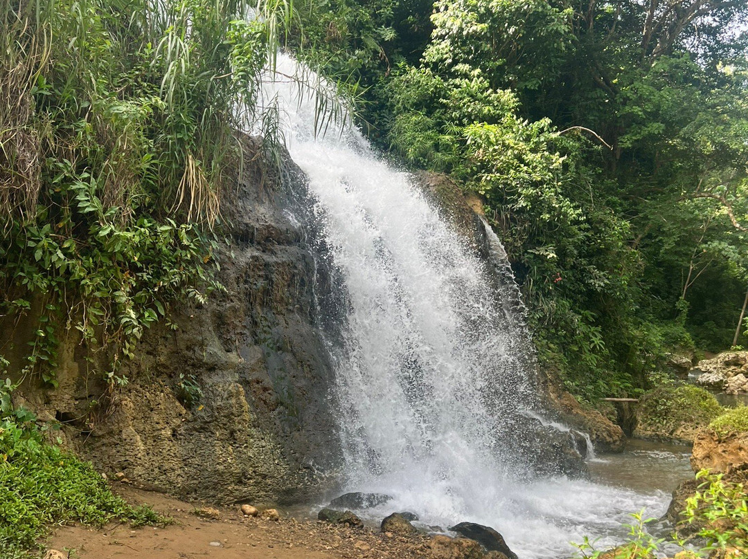 Rio Tanama-阿雷西沃必去景点