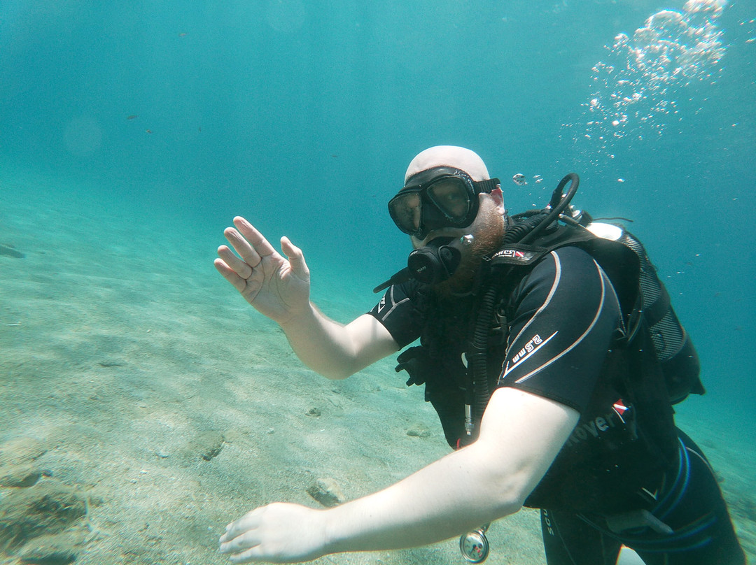 Athens Divers Club-Anavyssos必去景点