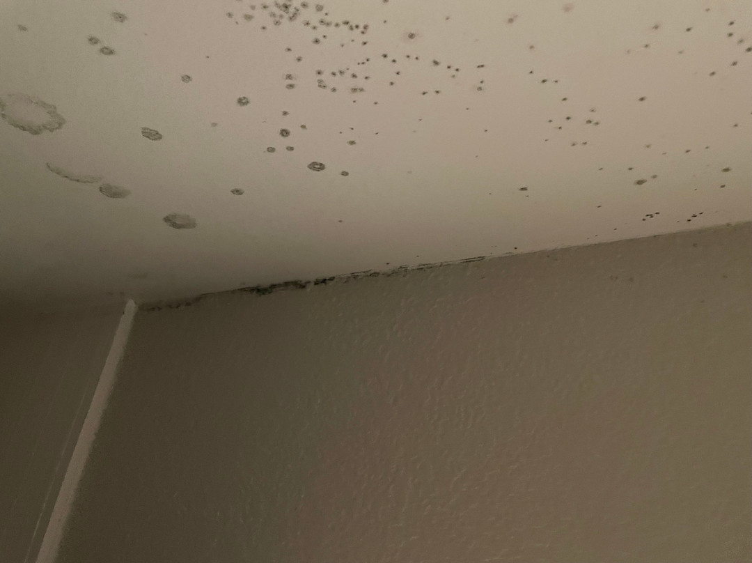 Courtyard by Marriott Monroe Airport主图