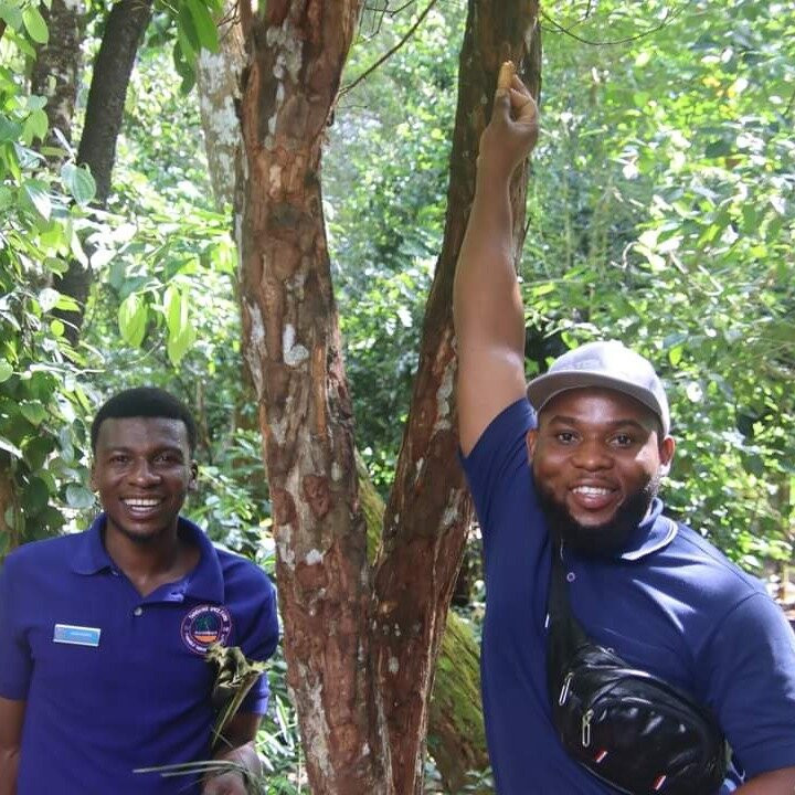 Wise Tour Guide-石头城必去景点