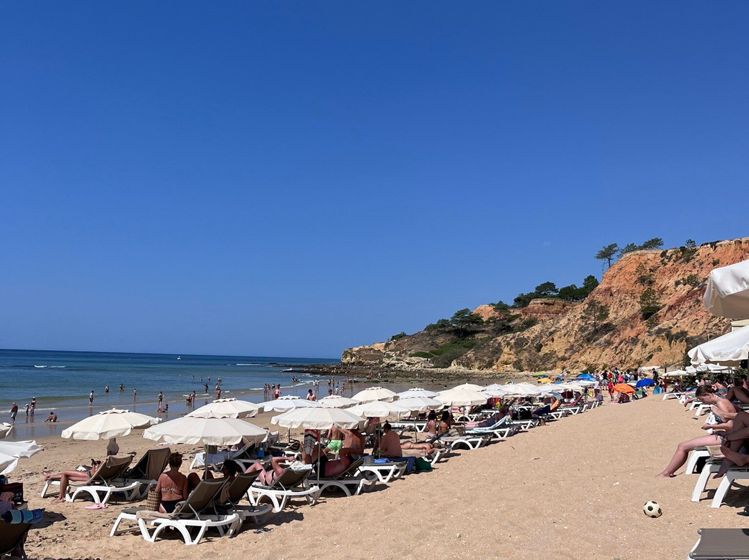 Praia do Barranco das Belharucas景点图片