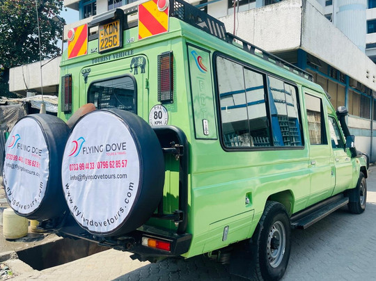 Flying Dove Tours-蒙巴萨必去景点