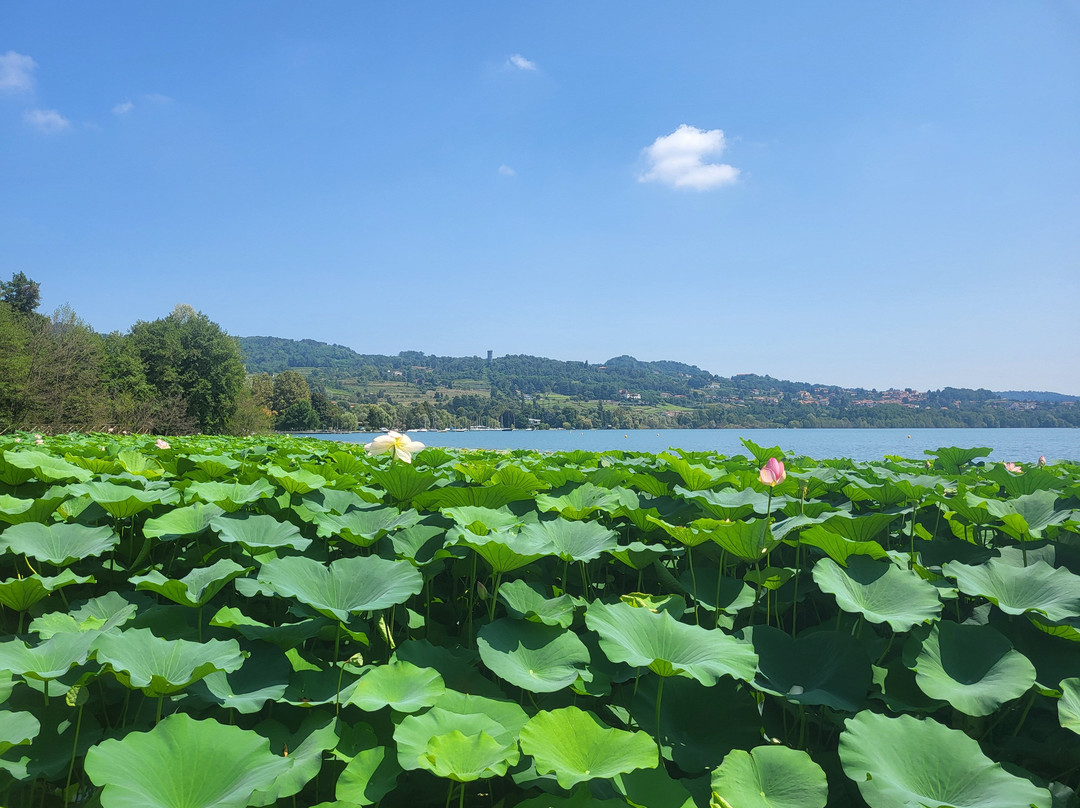 Lago di Viverone景点图片