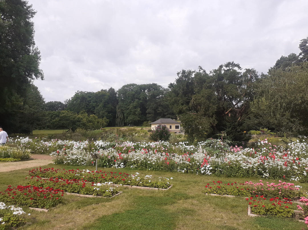 Botanischer Garten景点图片