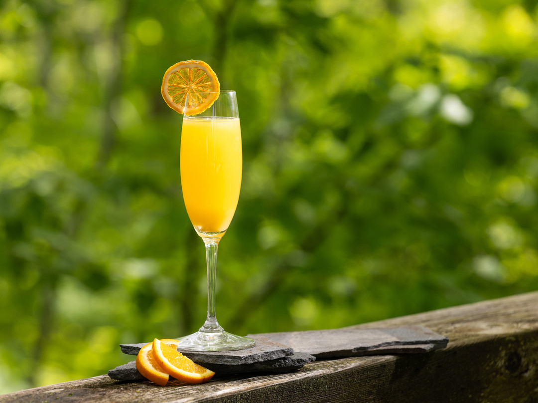 Wild Rice Retreat主图