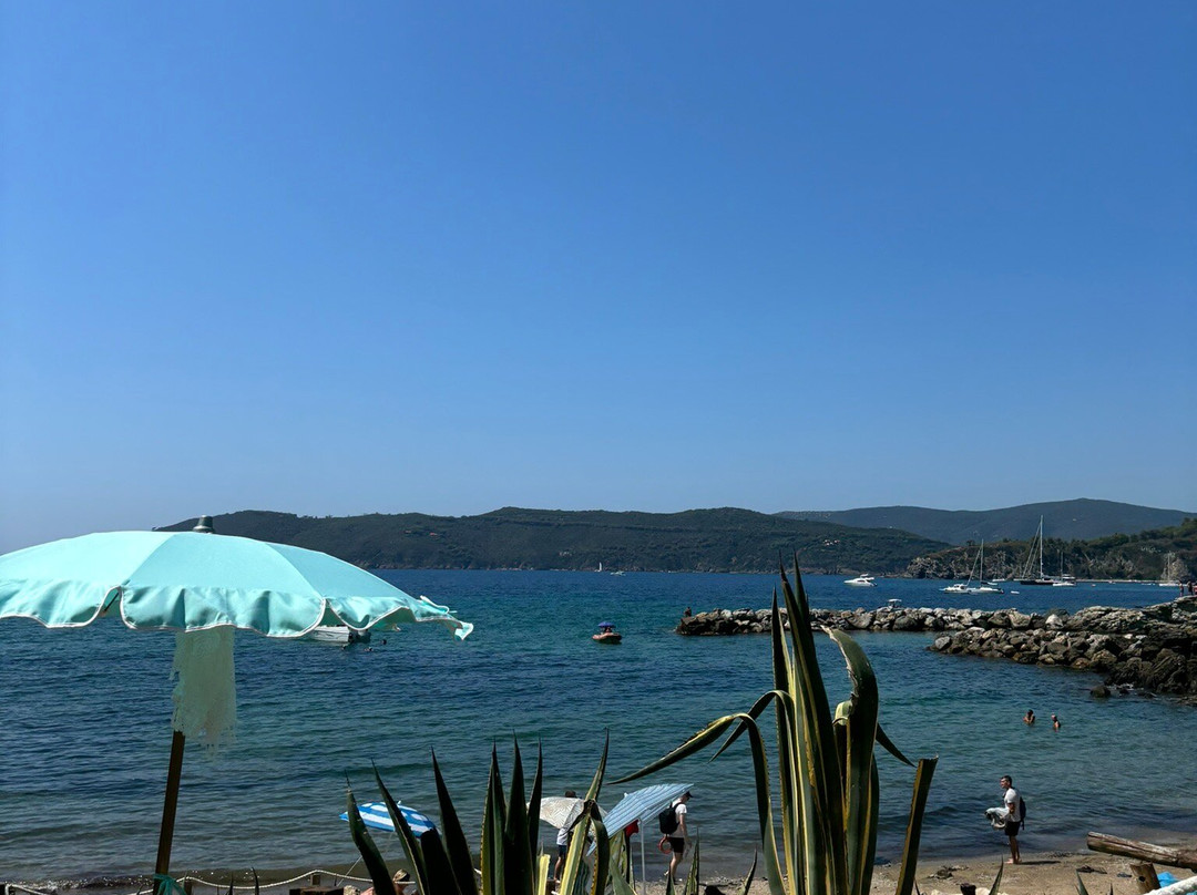 Spiaggia di Felciaio景点图片