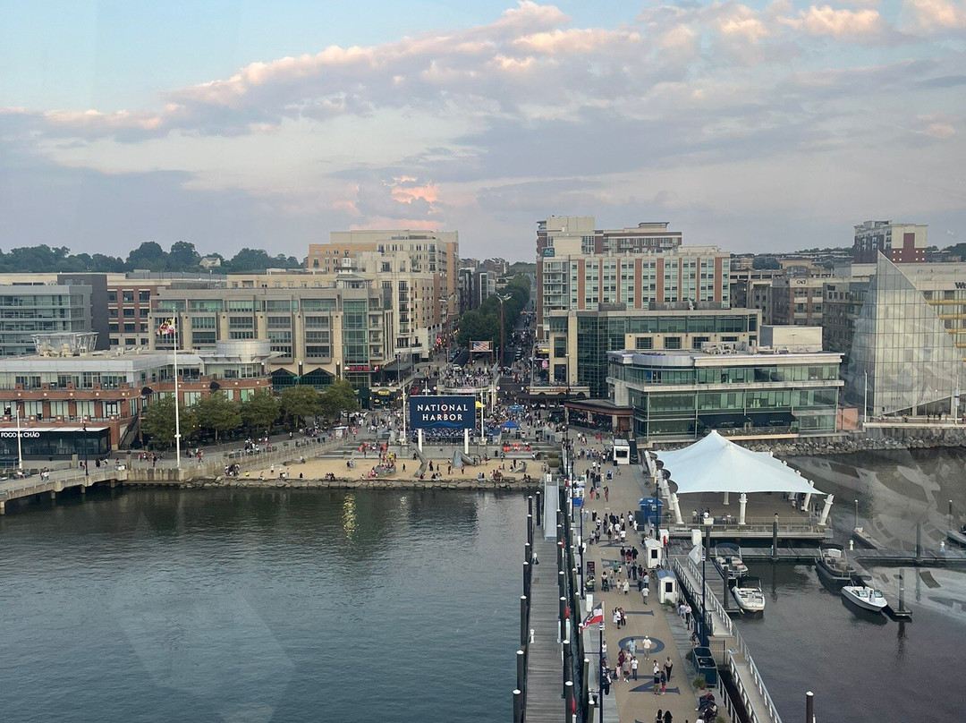 The Capital Wheel-国家港口必去景点