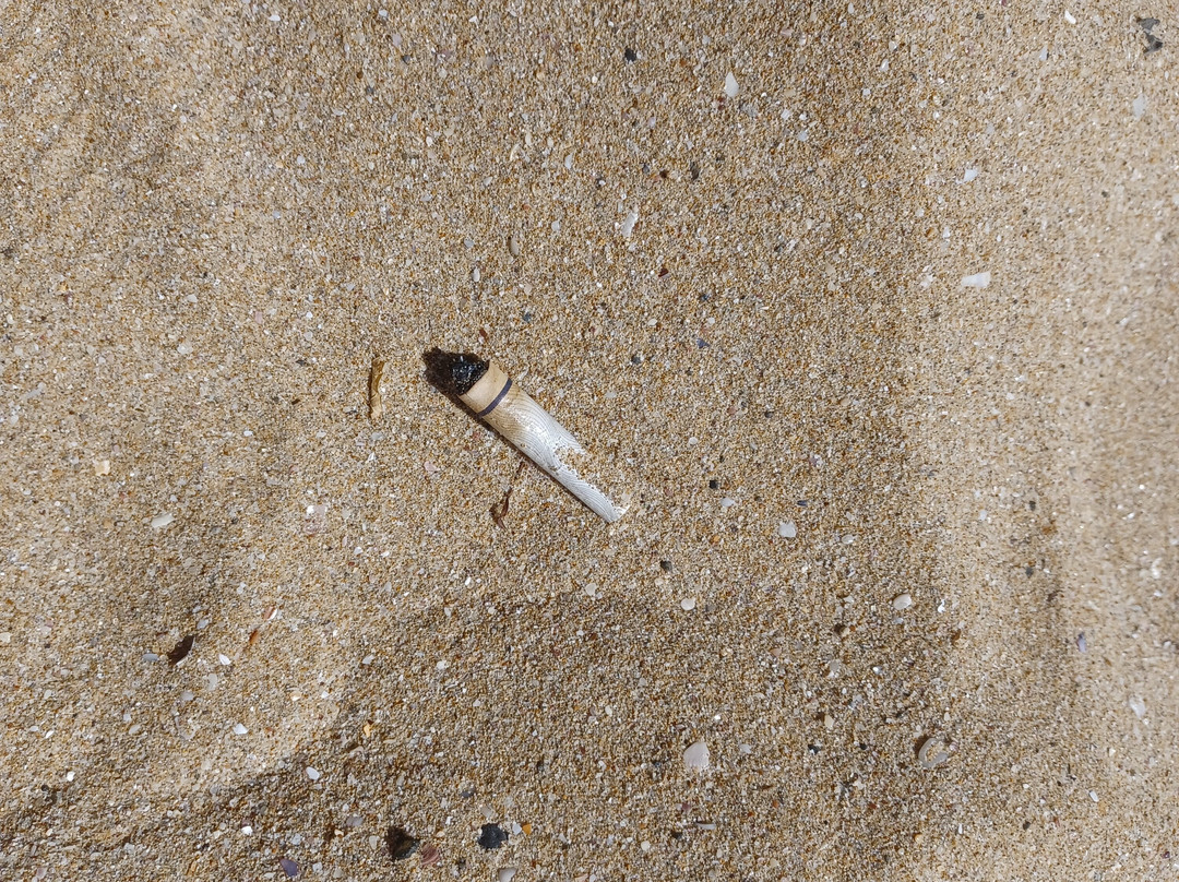 Kavatsite Beach-索佐波尔必去景点
