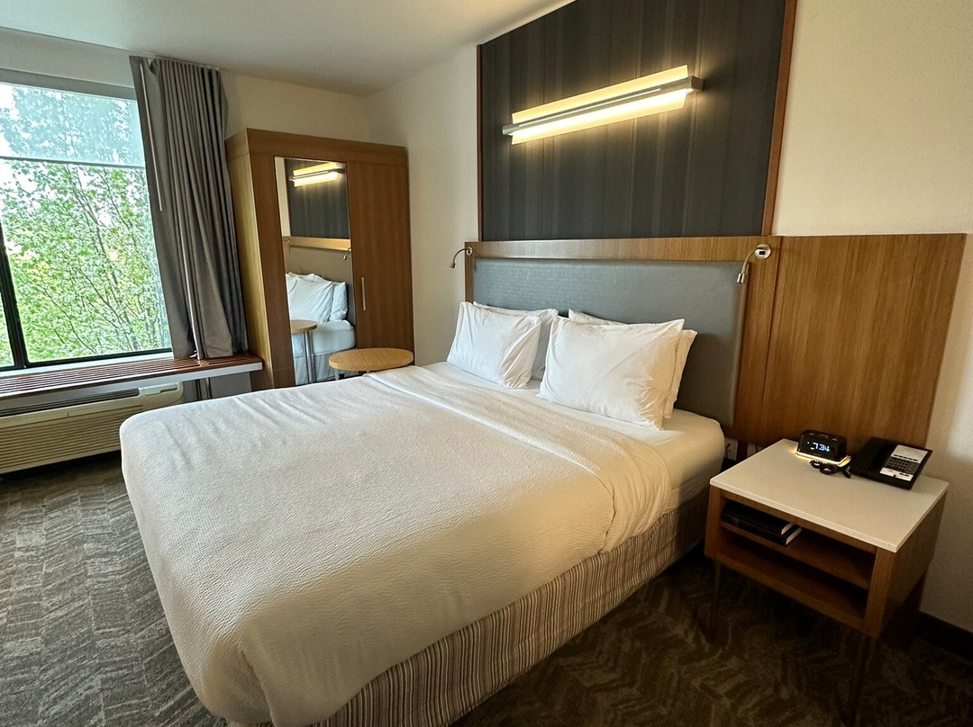 SpringHill Suites by Marriott Rexburg主图