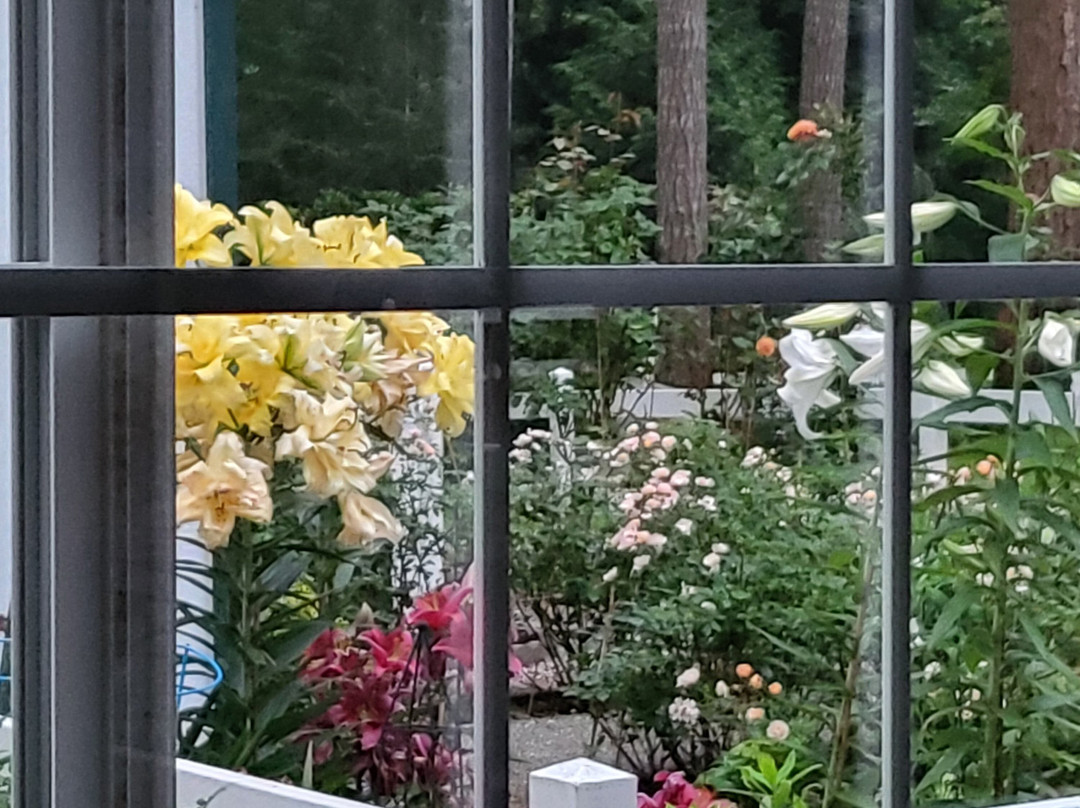 Bear's Lair Bed & Breakfast主图