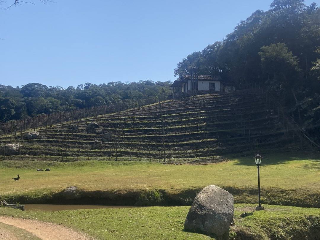 Ferreira & Passero-Sao Roque必去景点