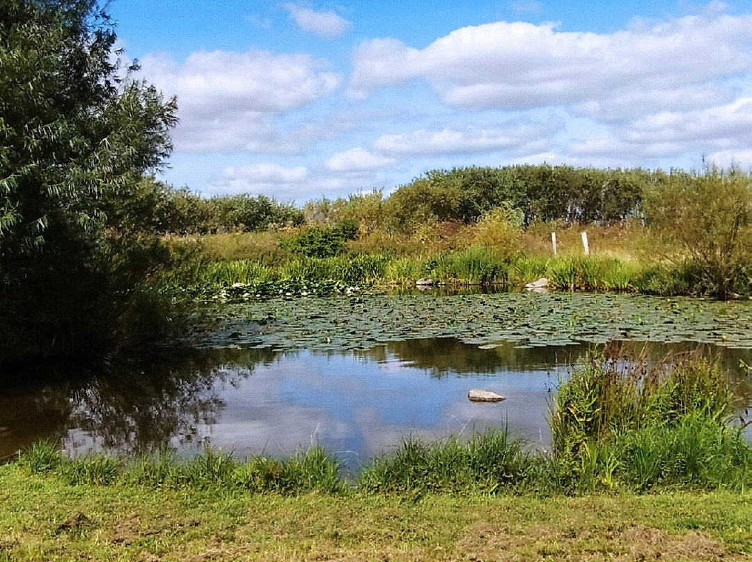 ZOOPARK Sydsjælland景点图片