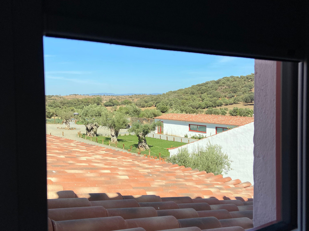 Viva! Farmhouse主图