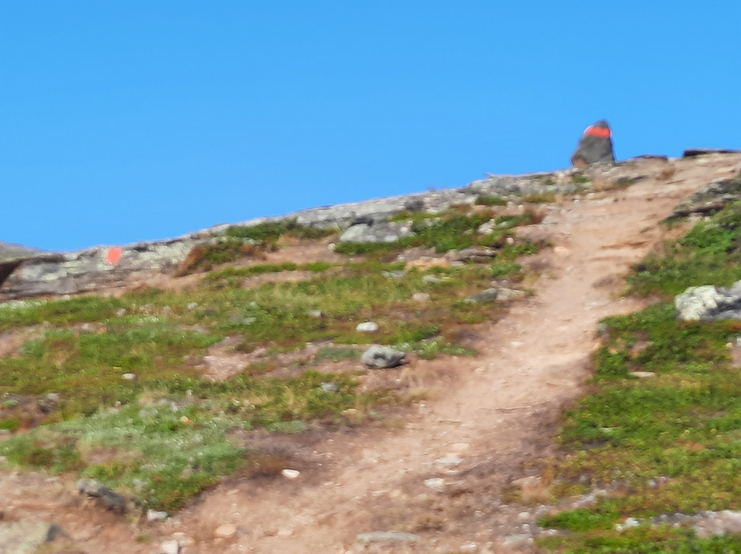 Mount Njulla景点图片