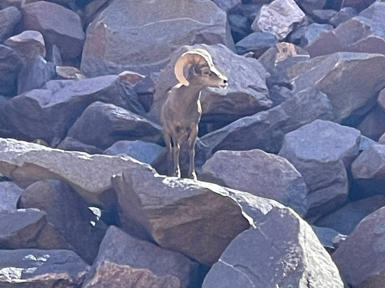 Canyoneers-弗拉格斯塔夫必去景点